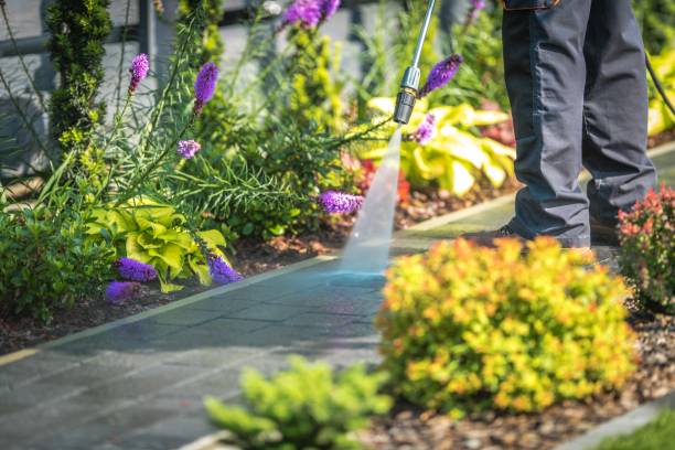 Best Restaurant Pressure Washing  in Mountain Lakes, NJ